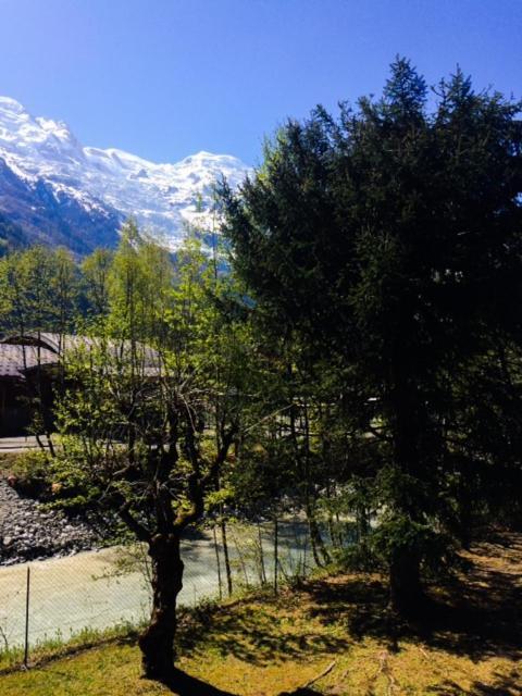 Studio Lumineux Avec Vue Sur Le Massif Du Mont-Blanc Chamonix Eksteriør billede
